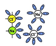 Перехід гідратованих іонів натрію та хлору в розчин